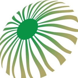 visualcityksa
